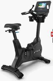 True Performance Upright Cycle