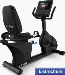 True Gravity Recumbent Cycle