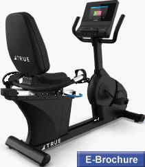 True Launch Recumbernt Cycle