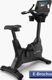 True Gravity Upright Cycle